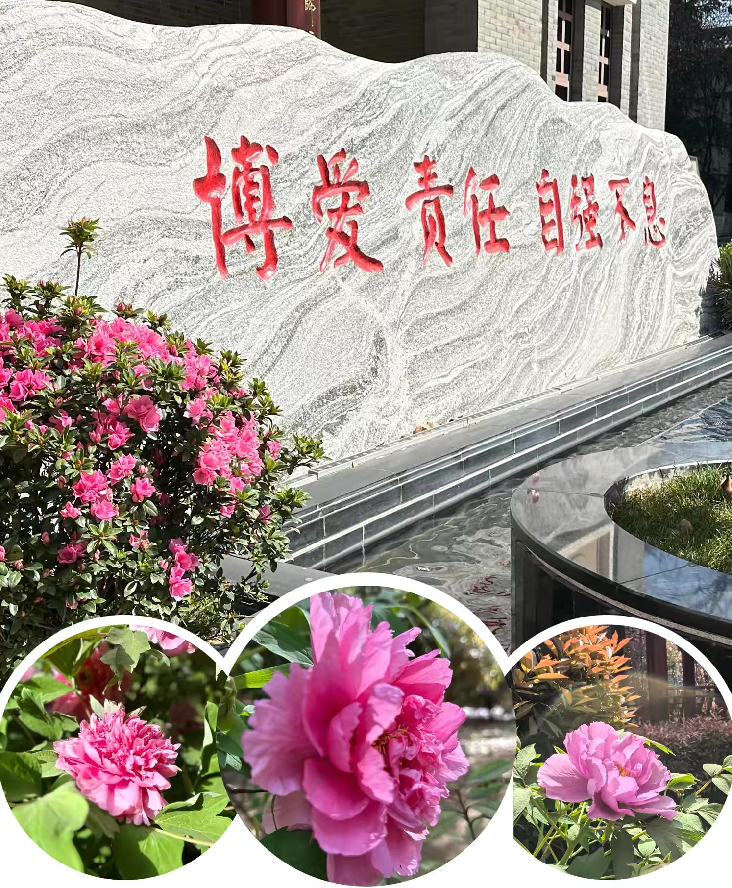 ̽俼ؼͬWδ